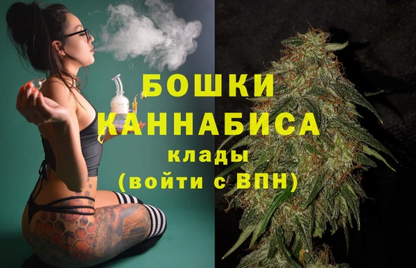 ECSTASY Богородск