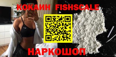 мет Кингисепп