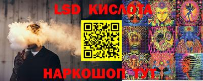 стаф Кимры