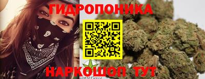 стаф Кимры