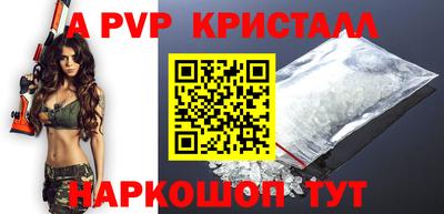 мет Кингисепп