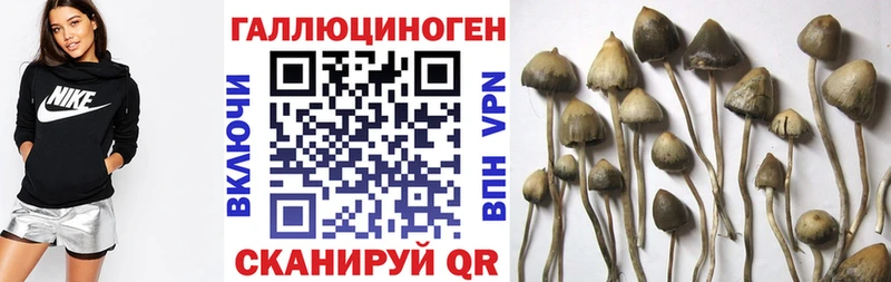 Псилоцибиновые грибы Magic Shrooms Дальнегорск