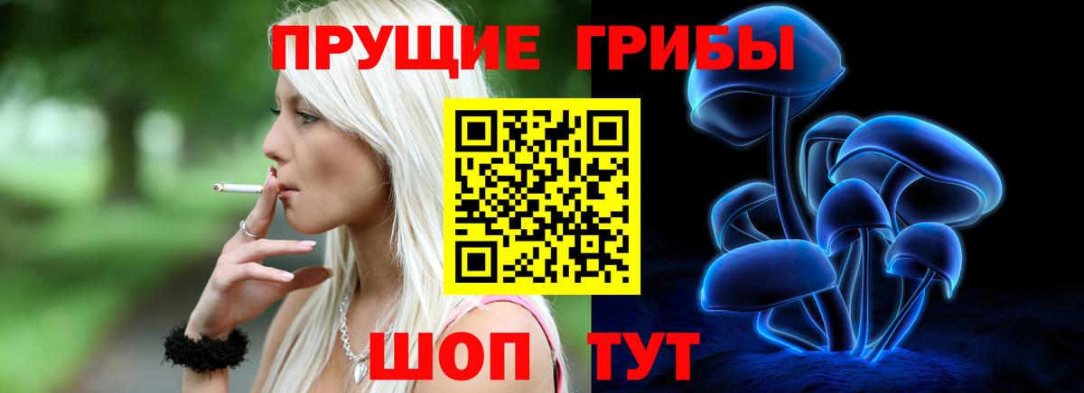 Галлюциногенные грибы MAGIC MUSHROOMS  Галлюциногенные грибы мицелий  Дальнегорск  Вход с VPN 